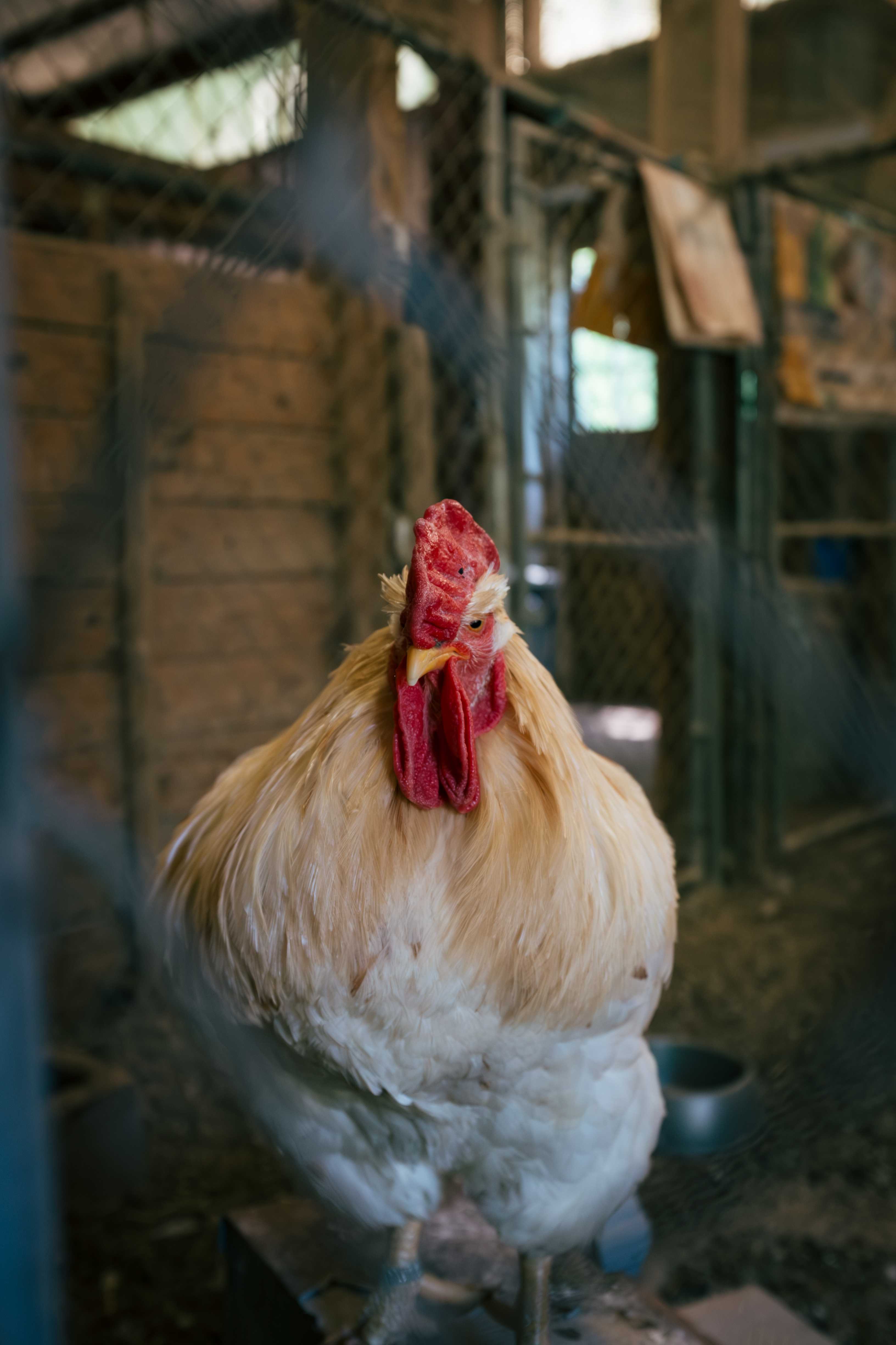 The Refuge at Lyric Farm